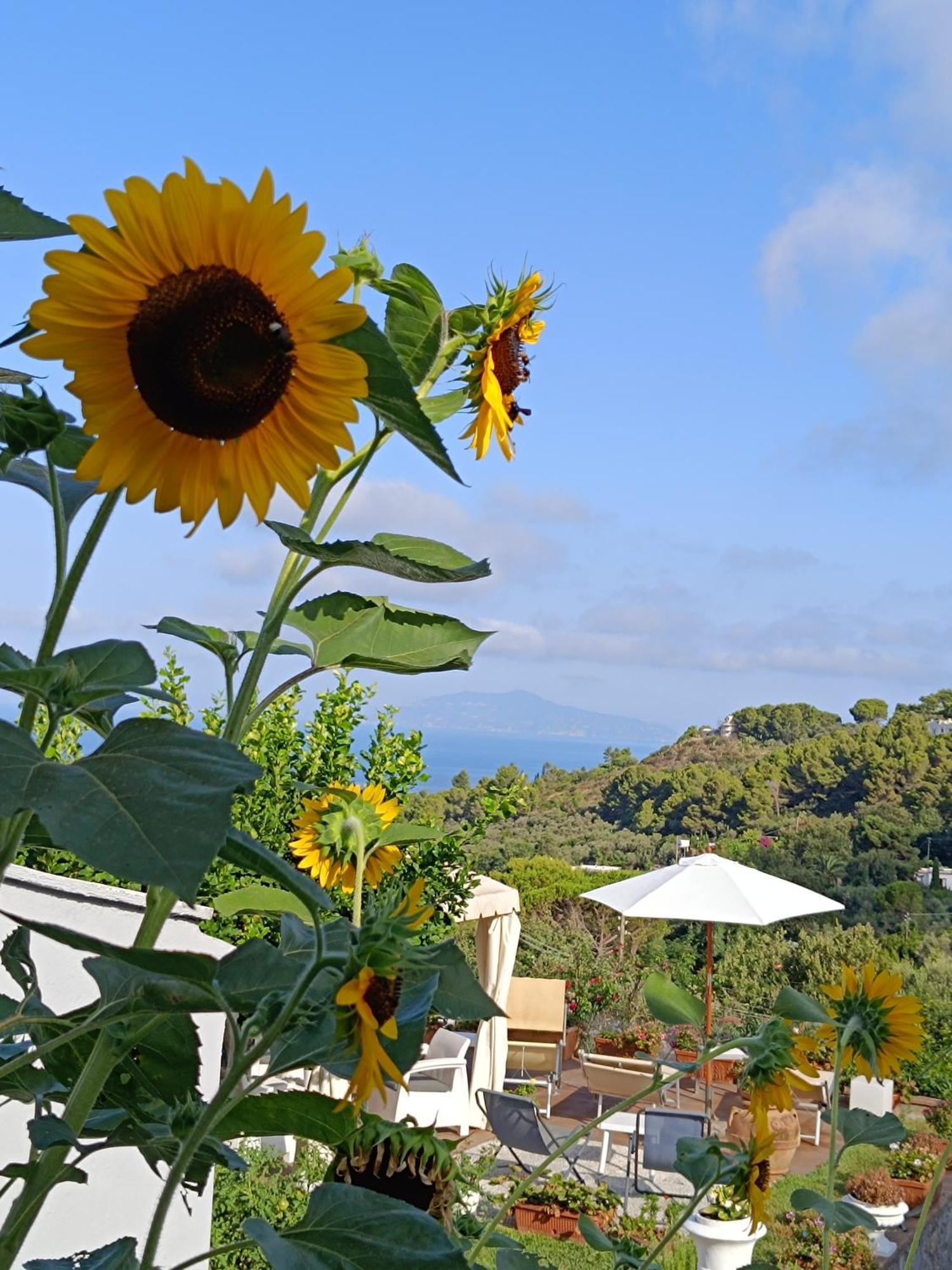 B&B Villa Cristina Anacapri  Eksteriør bilde