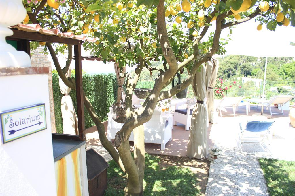 B&B Villa Cristina Anacapri  Eksteriør bilde